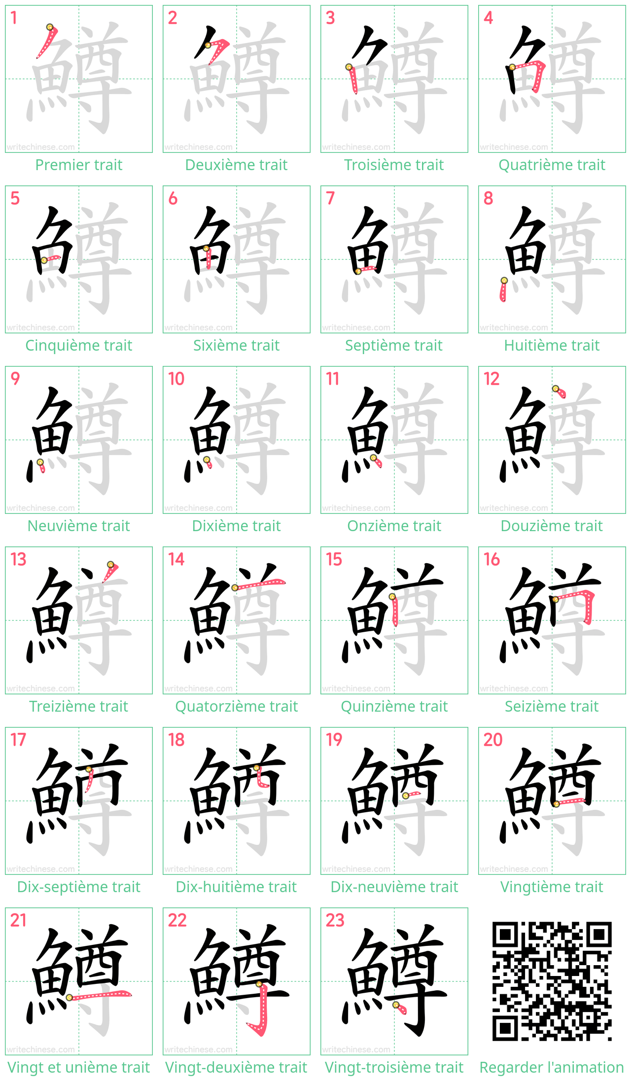 Diagrammes d'ordre des traits étape par étape pour le caractère 鱒