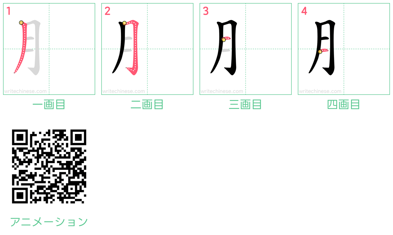 中国語の漢字「⺼」の書き順 筆順