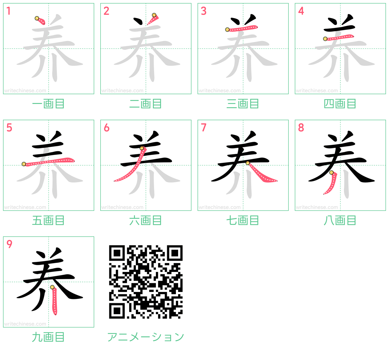中国語の漢字「养」の書き順 筆順