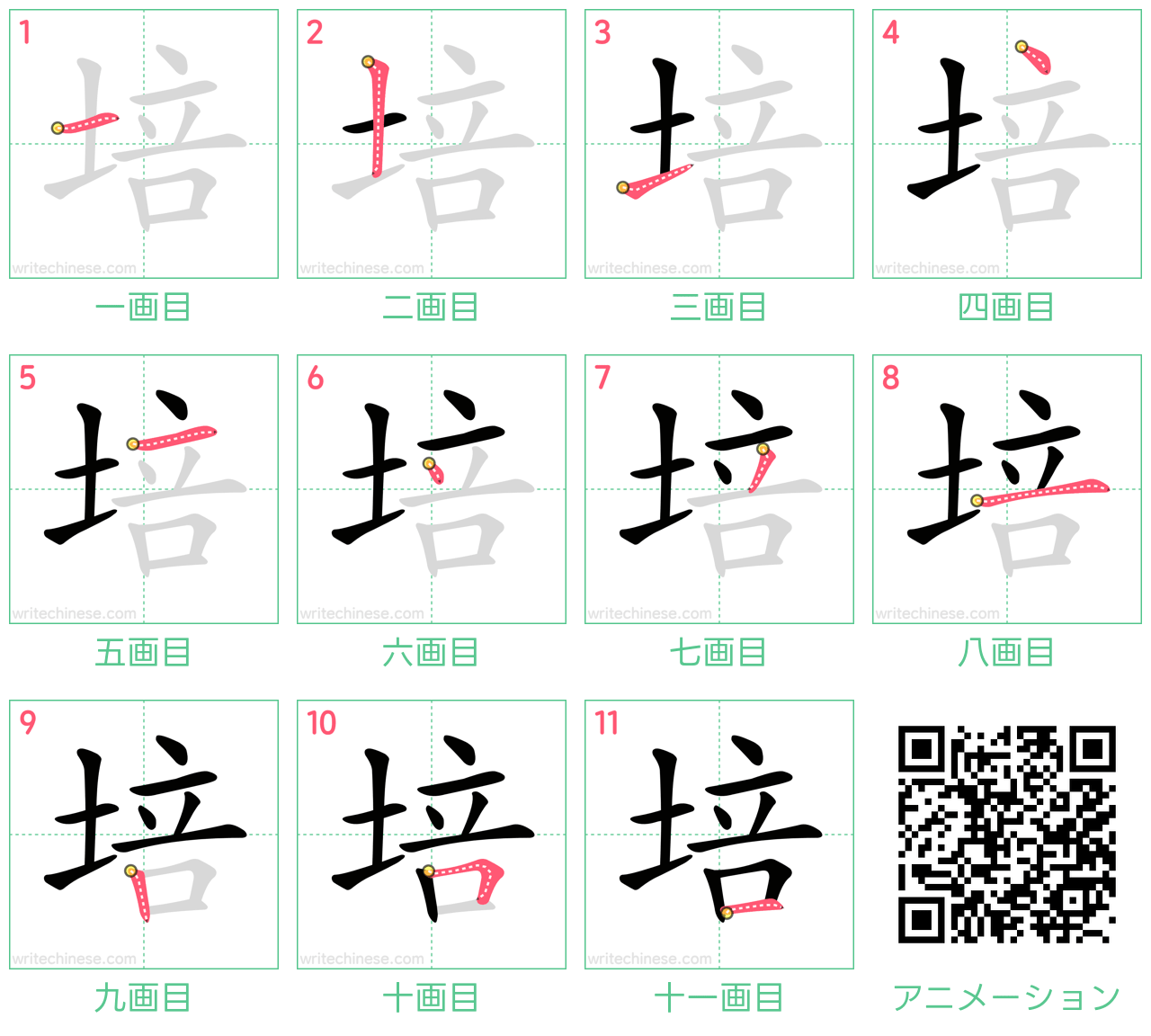 中国語の漢字「培」の書き順 筆順