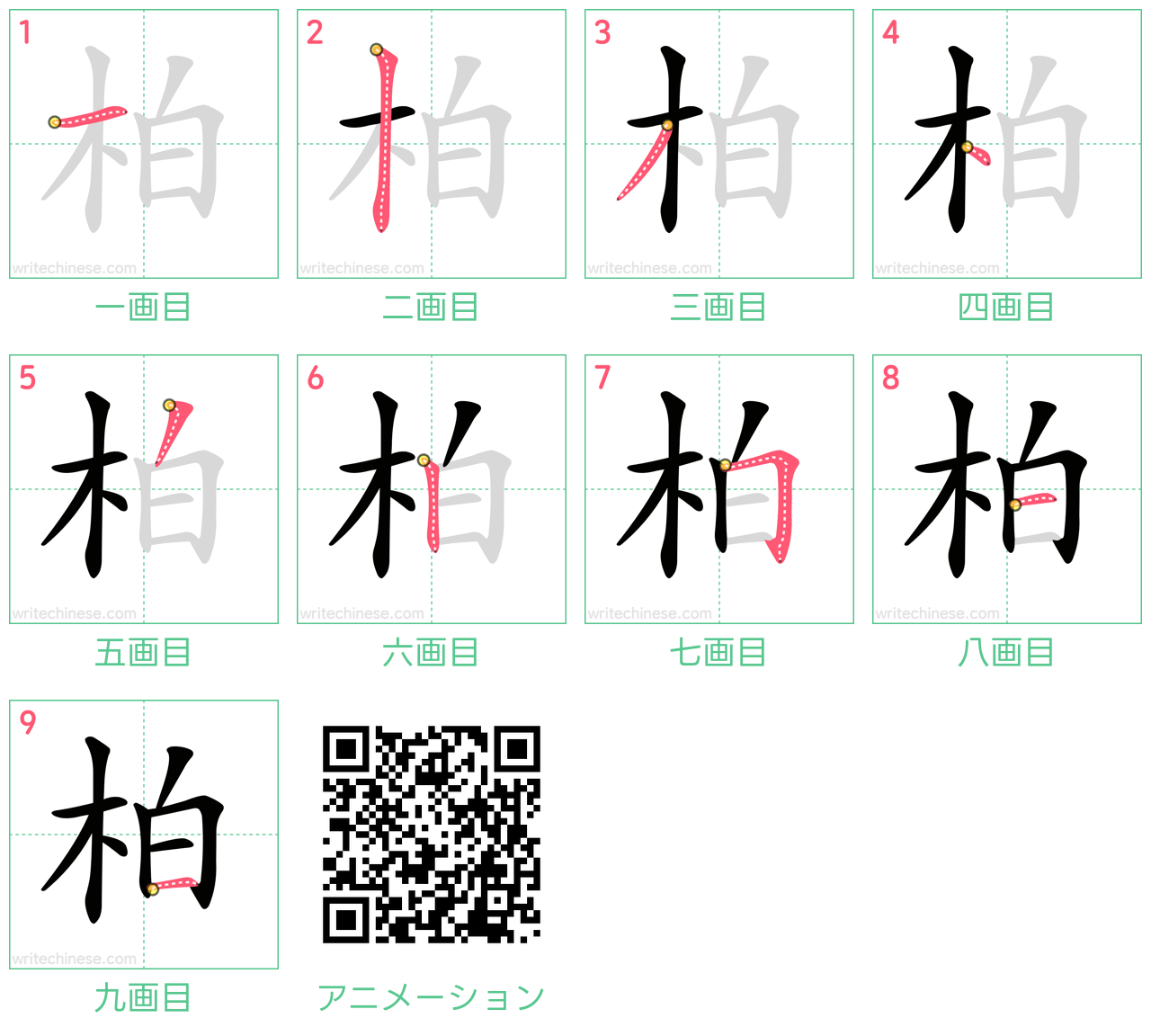 中国語の漢字「柏」の書き順 筆順