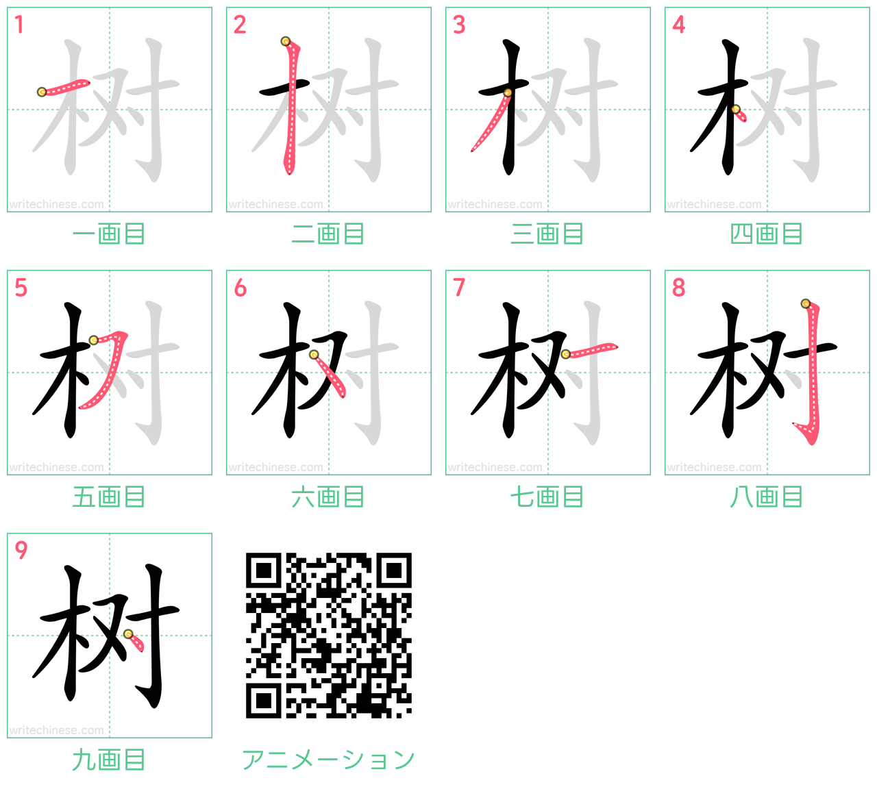 中国語の漢字「树」の書き順 筆順