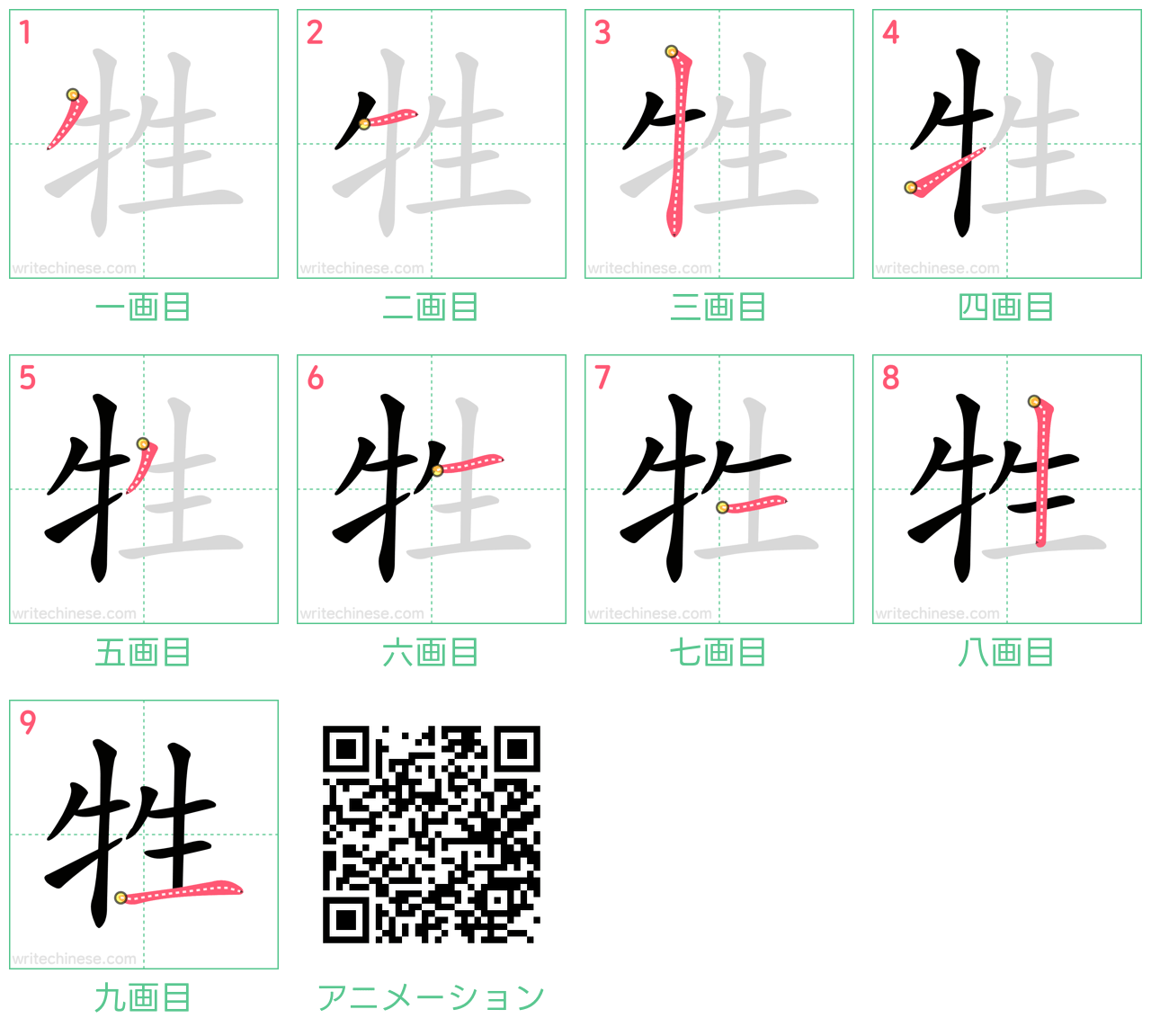 中国語の漢字「牲」の書き順 筆順