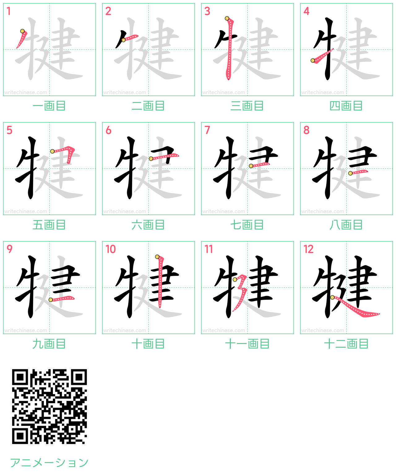 中国語の漢字「犍」の書き順 筆順