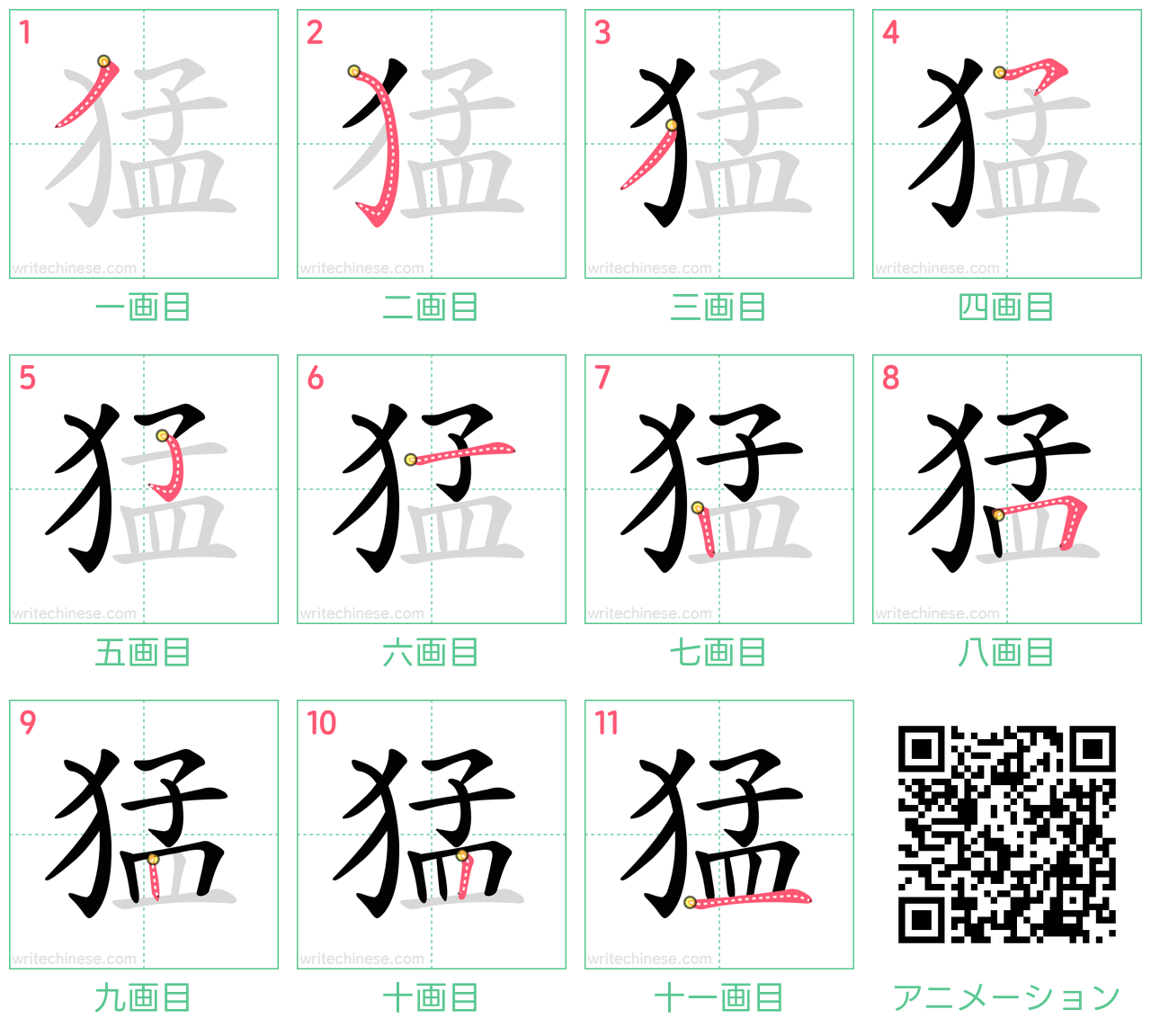 中国語の漢字「猛」の書き順 筆順