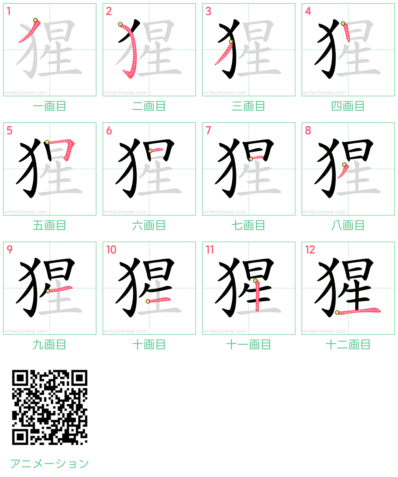 中国語の漢字「猩」の書き順 筆順