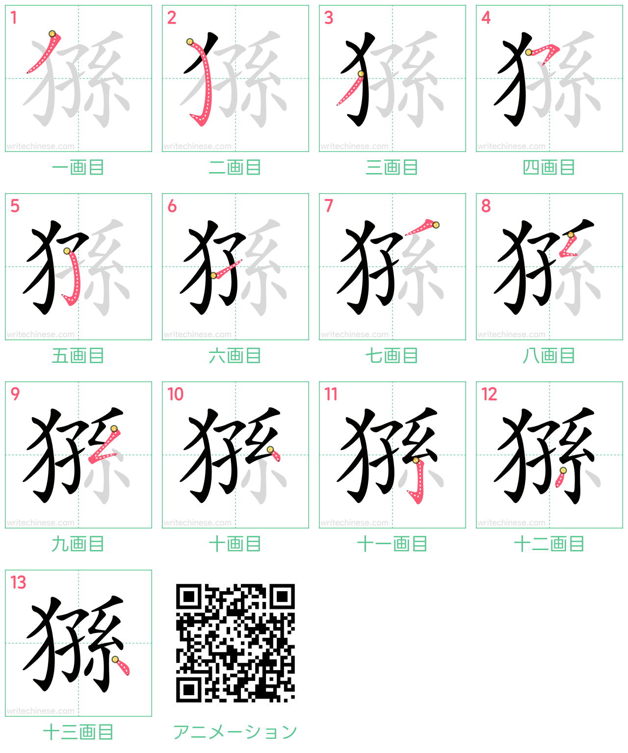 中国語の漢字「猻」の書き順 筆順