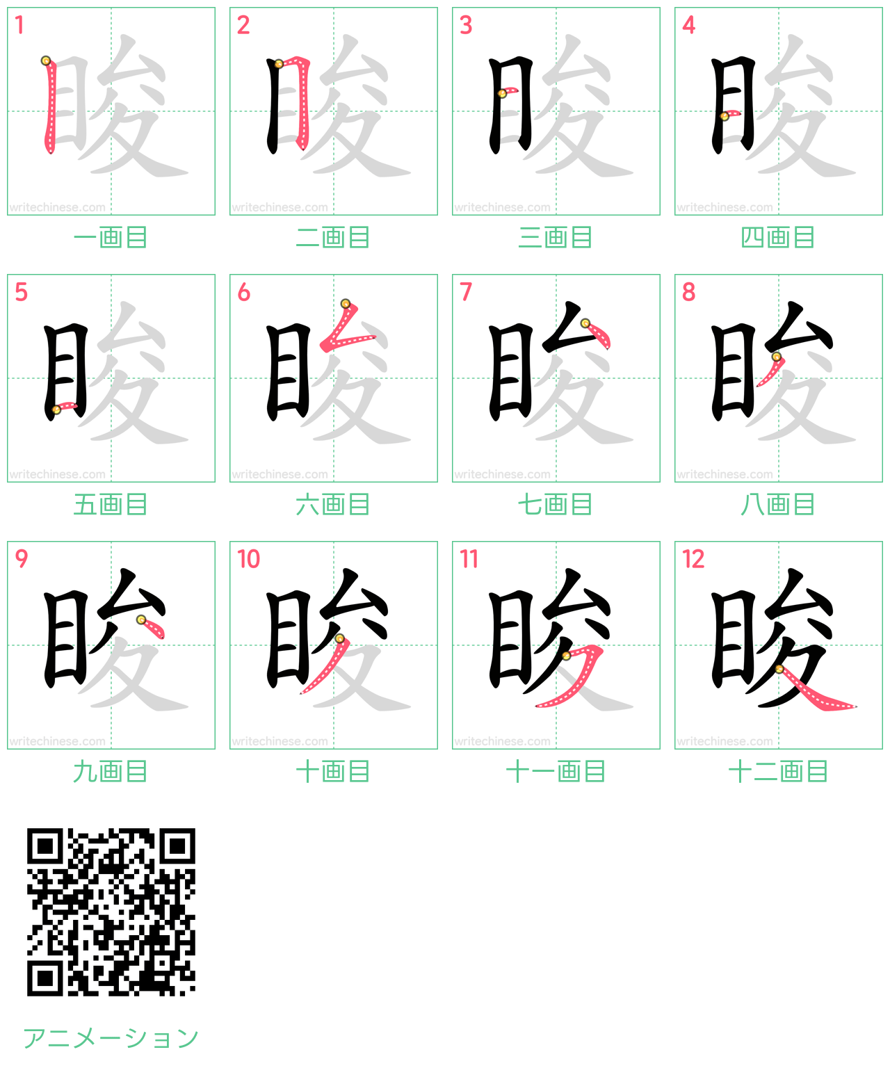 中国語の漢字「睃」の書き順 筆順