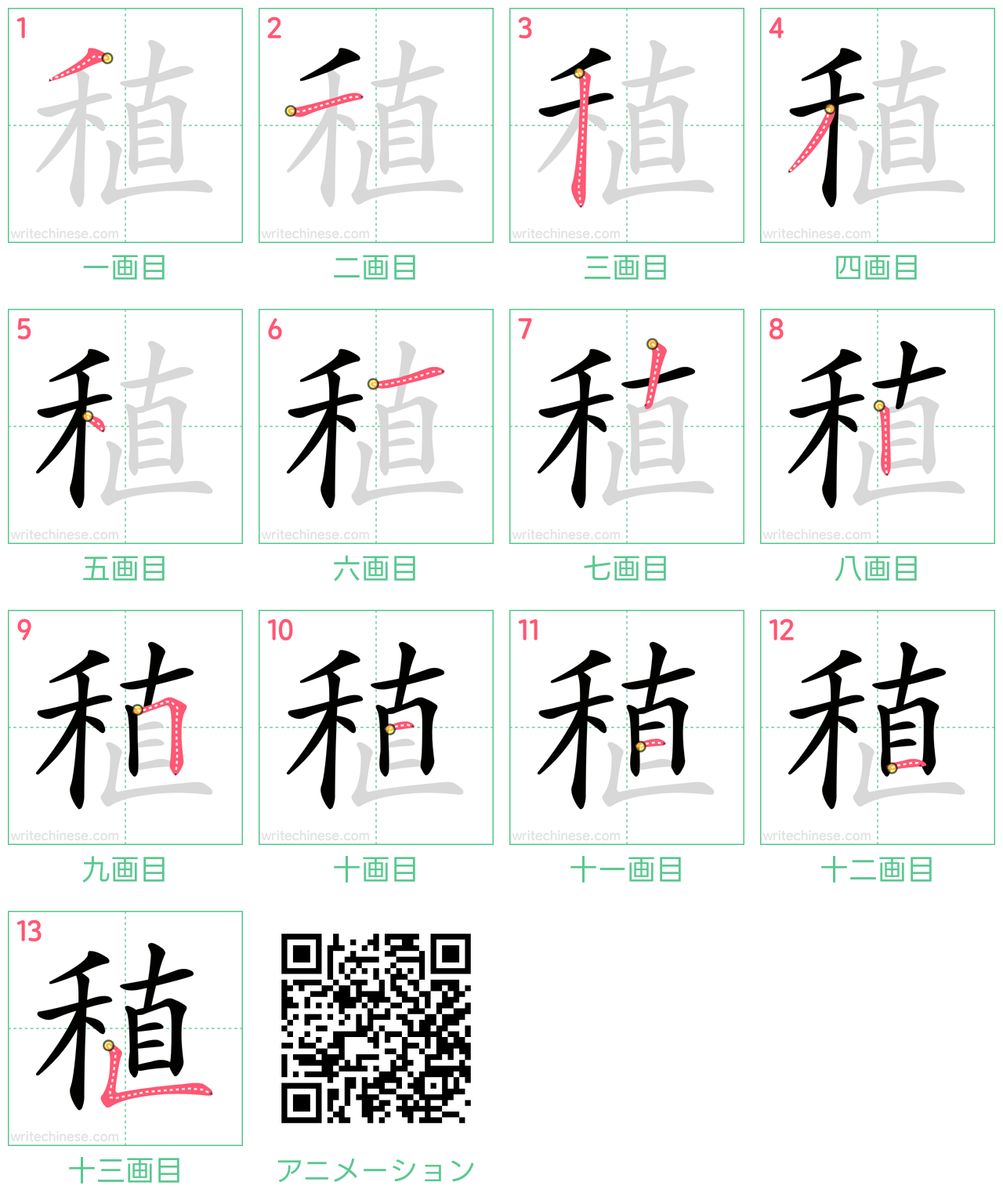 中国語の漢字「稙」の書き順 筆順