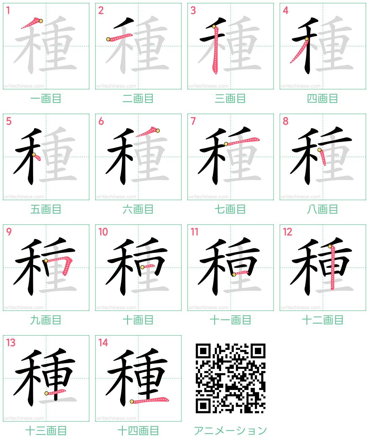 中国語の漢字「種」の書き順 筆順
