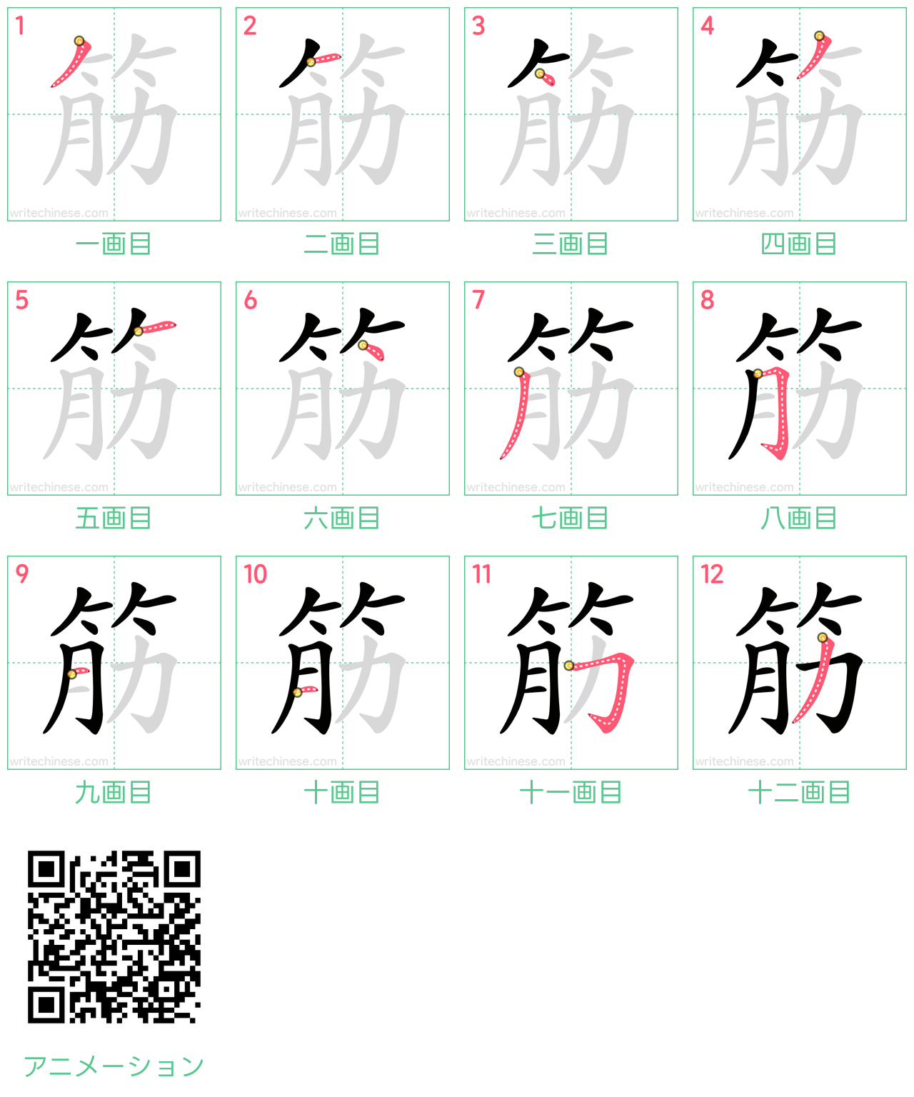中国語の漢字「筋」の書き順 筆順