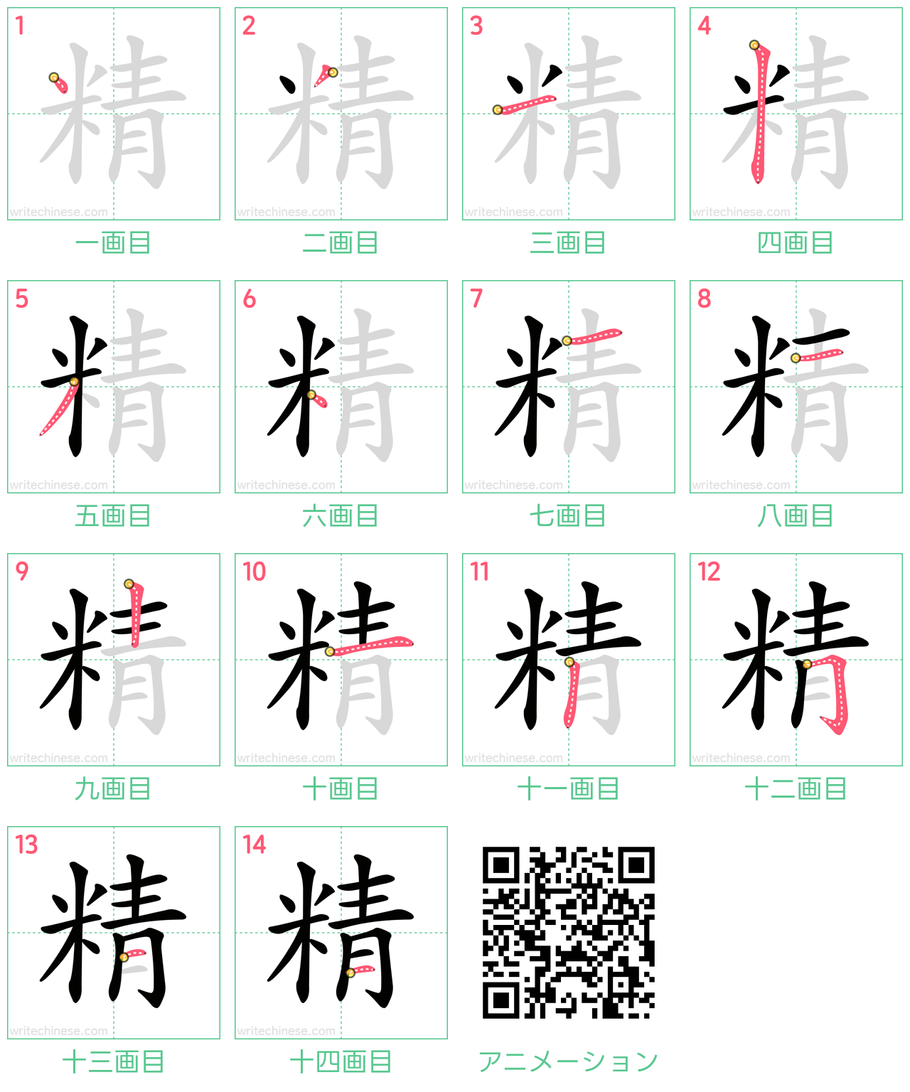 中国語の漢字「精」の書き順 筆順