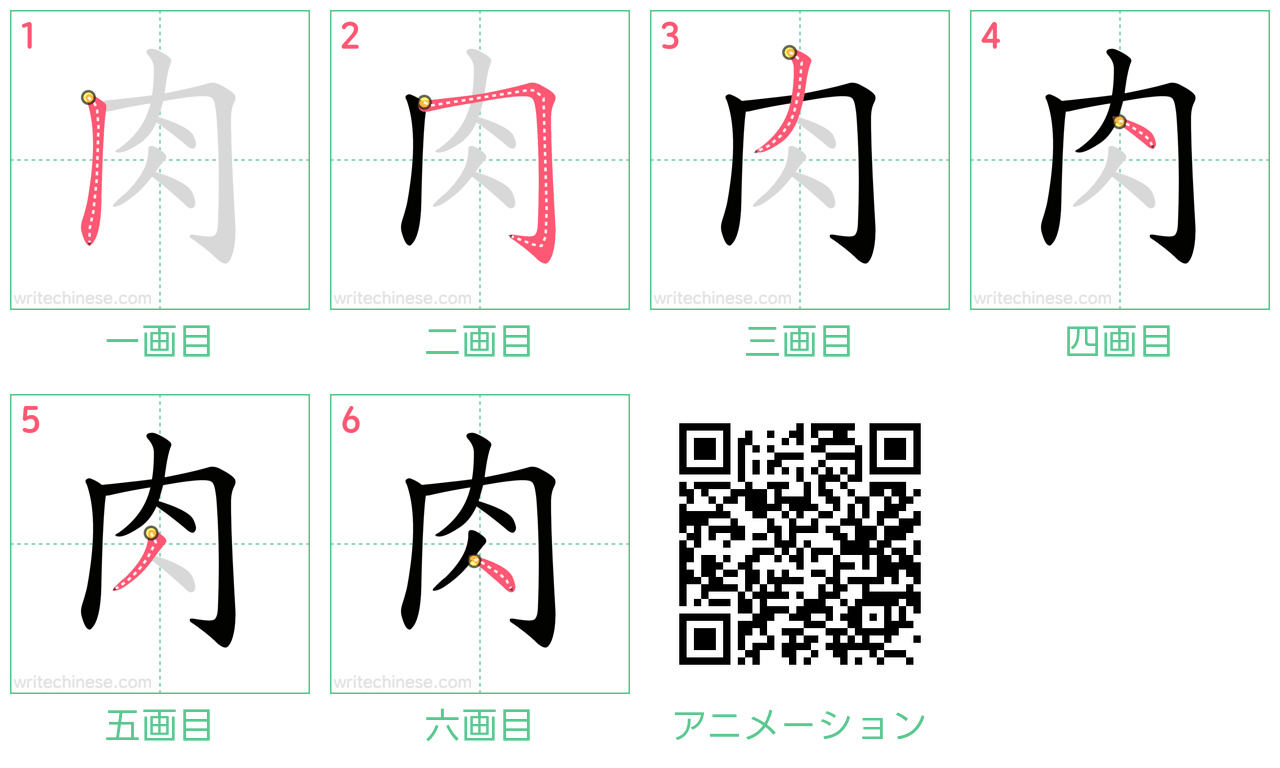 中国語の漢字「肉」の書き順 筆順