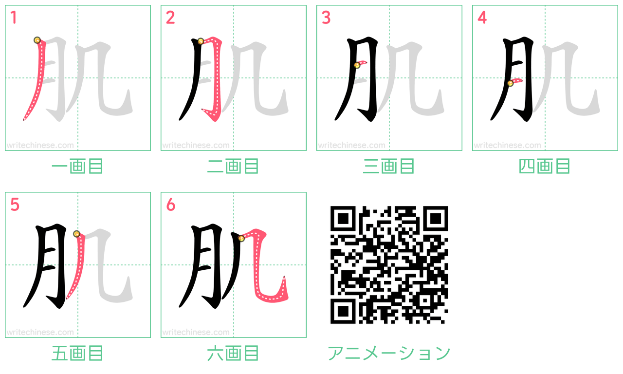 中国語の漢字「肌」の書き順 筆順