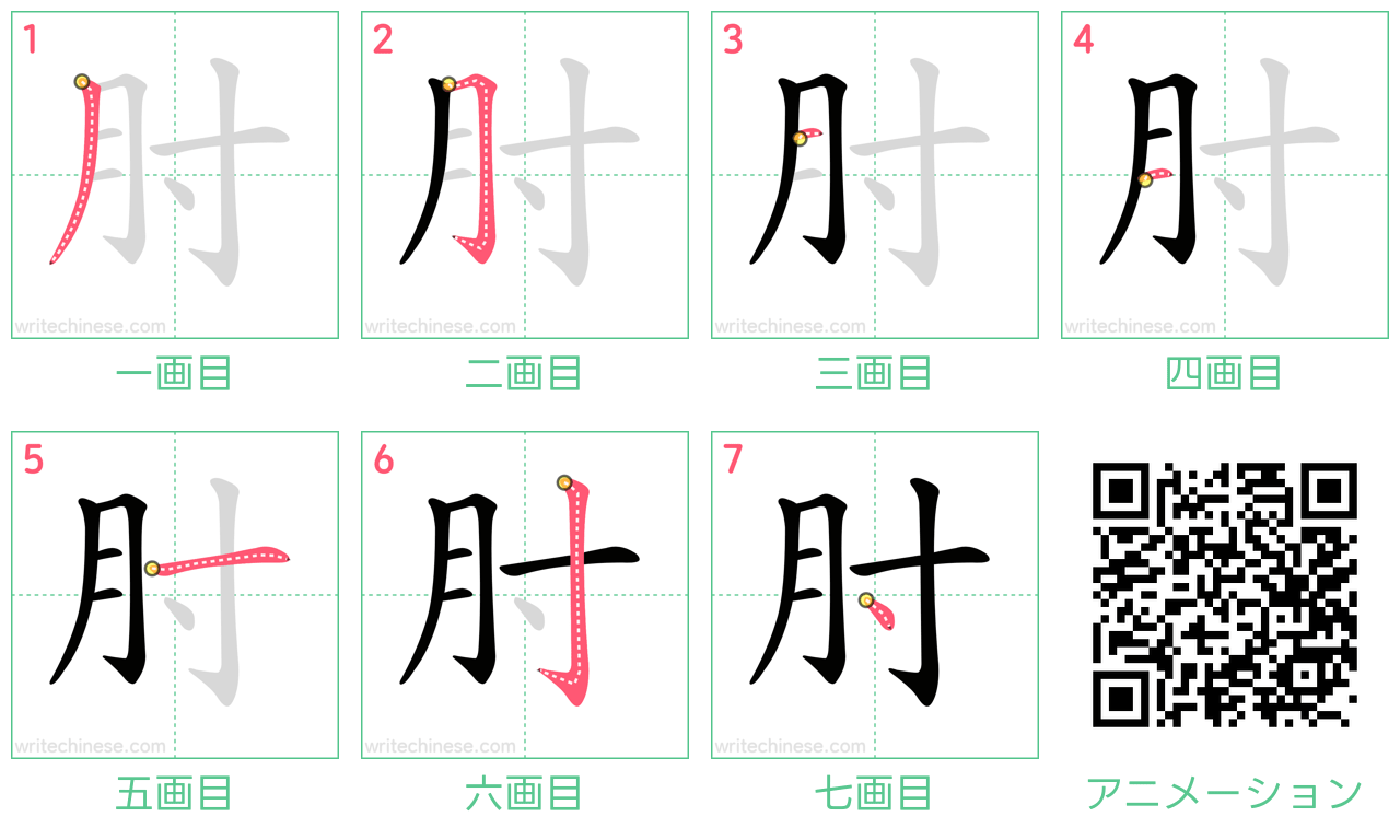 中国語の漢字「肘」の書き順 筆順