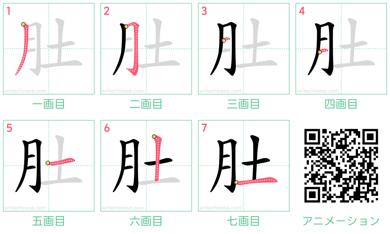 中国語の漢字「肚」の書き順 筆順