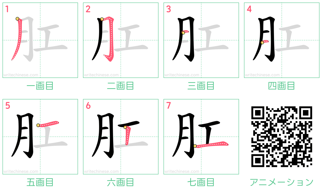 中国語の漢字「肛」の書き順 筆順