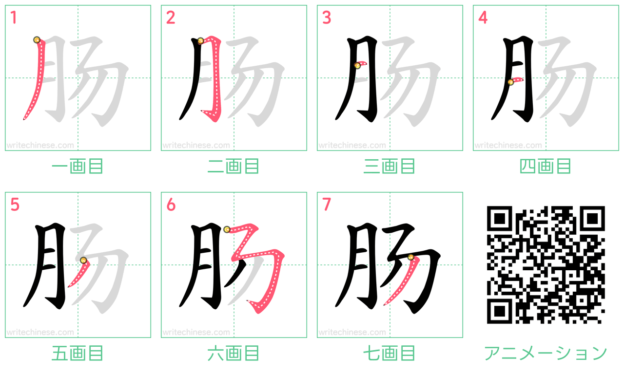 中国語の漢字「肠」の書き順 筆順