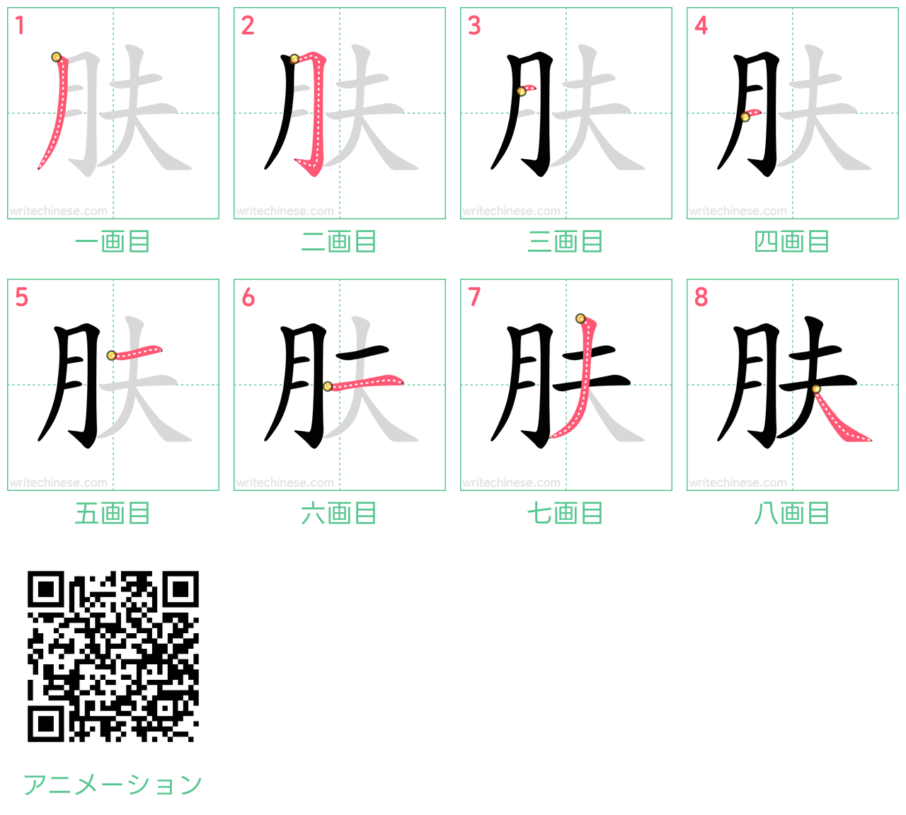 中国語の漢字「肤」の書き順 筆順