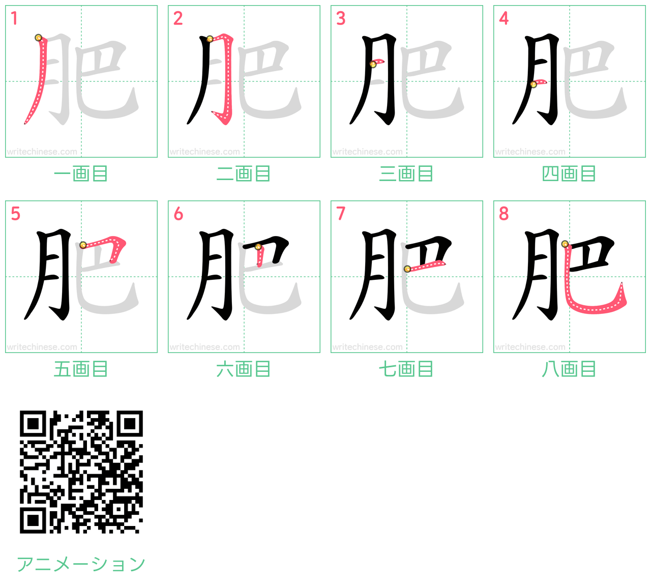 中国語の漢字「肥」の書き順 筆順