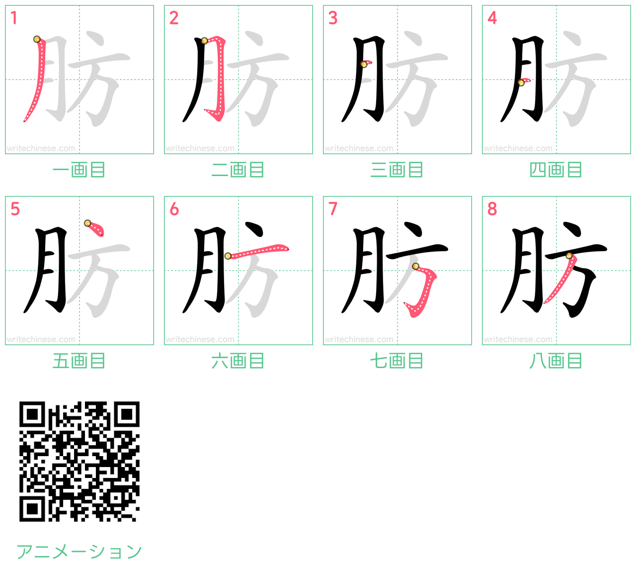中国語の漢字「肪」の書き順 筆順