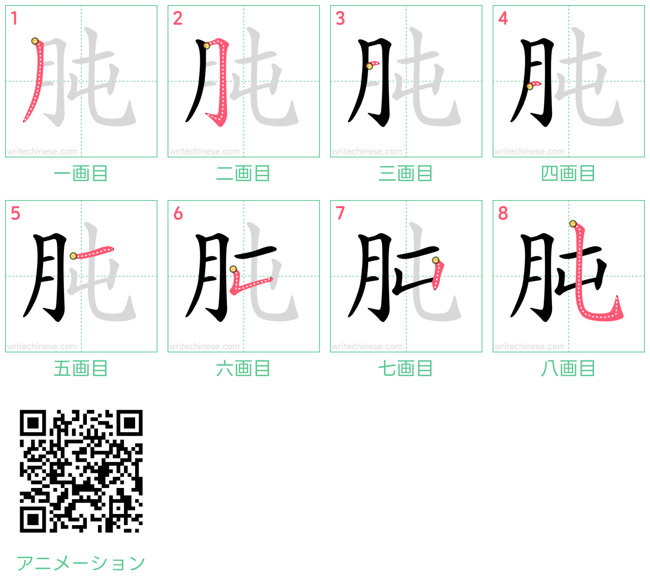 中国語の漢字「肫」の書き順 筆順