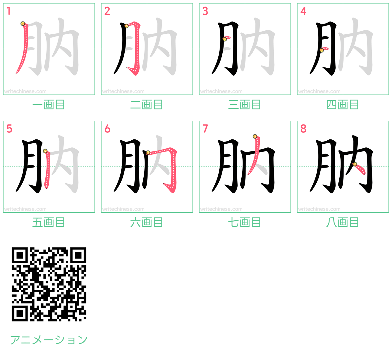 中国語の漢字「肭」の書き順 筆順