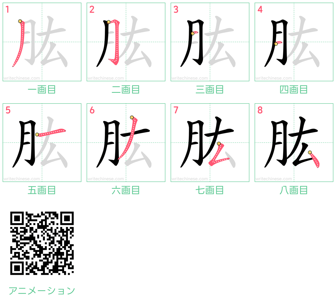 中国語の漢字「肱」の書き順 筆順