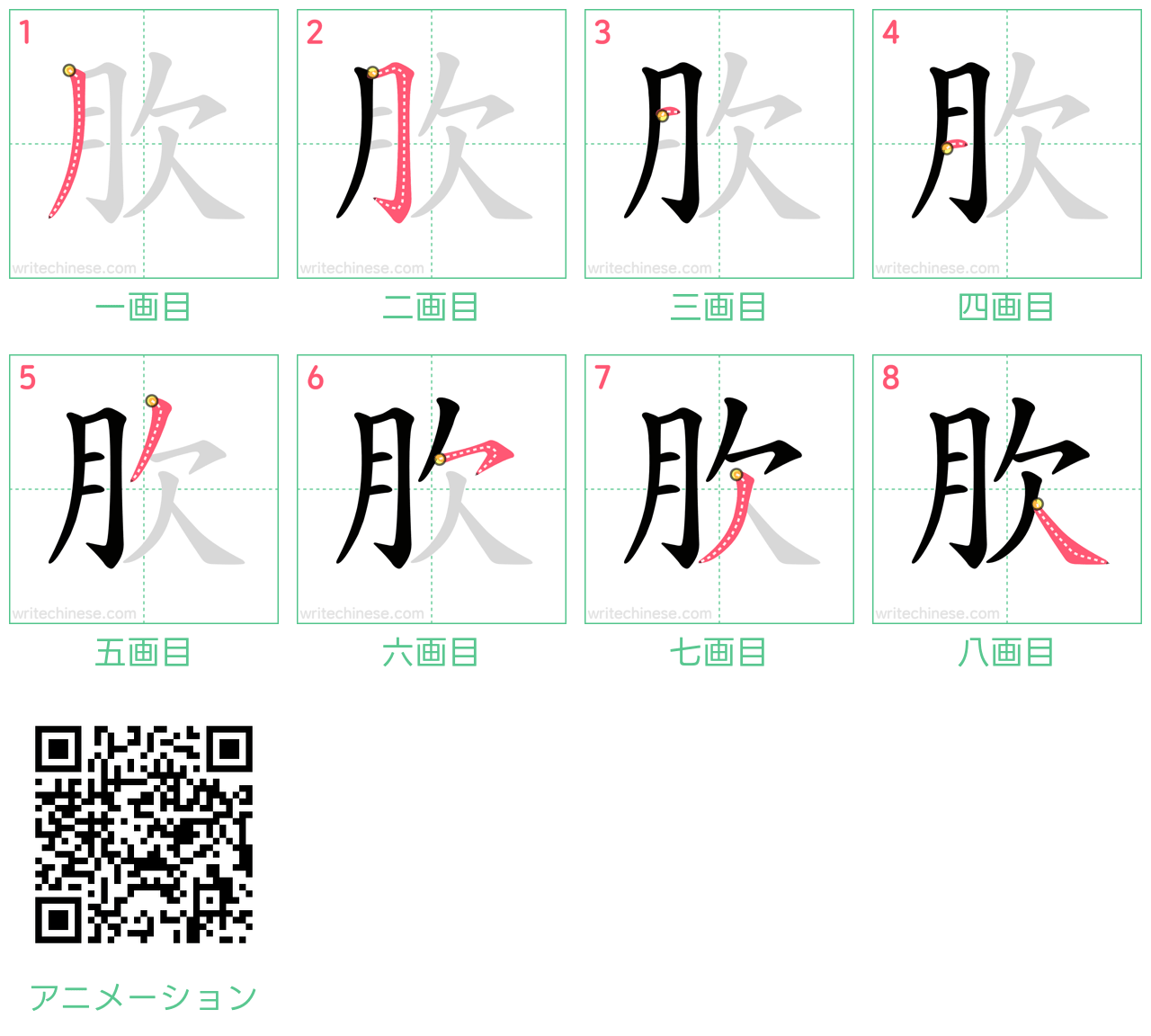 中国語の漢字「肷」の書き順 筆順