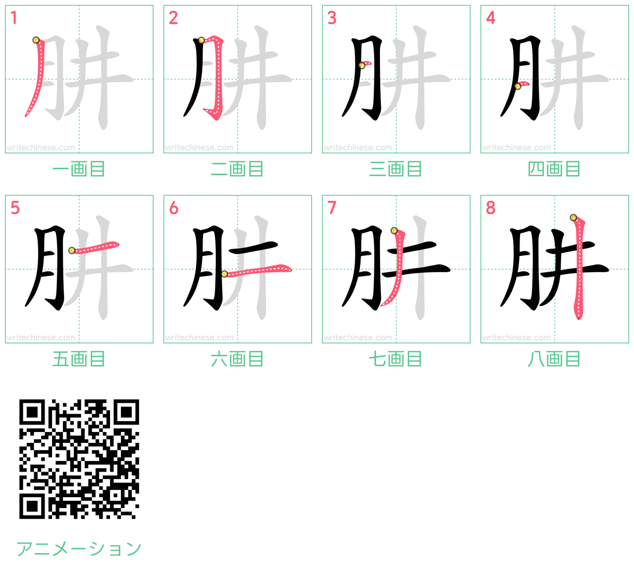中国語の漢字「肼」の書き順 筆順