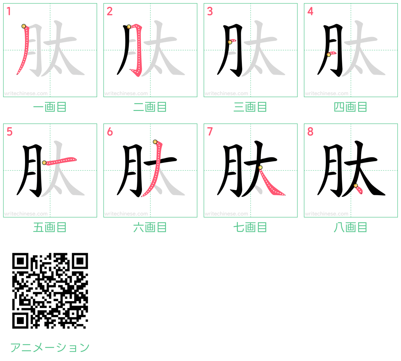 中国語の漢字「肽」の書き順 筆順