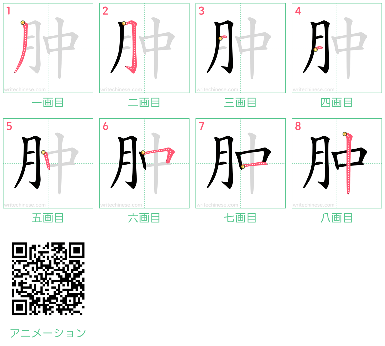 中国語の漢字「肿」の書き順 筆順