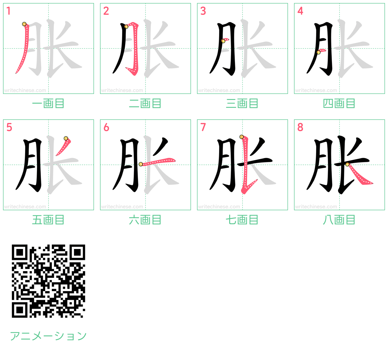中国語の漢字「胀」の書き順 筆順
