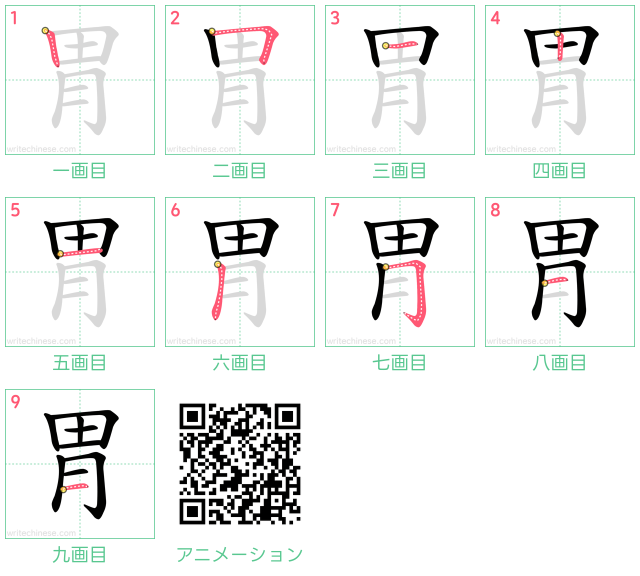 中国語の漢字「胃」の書き順 筆順