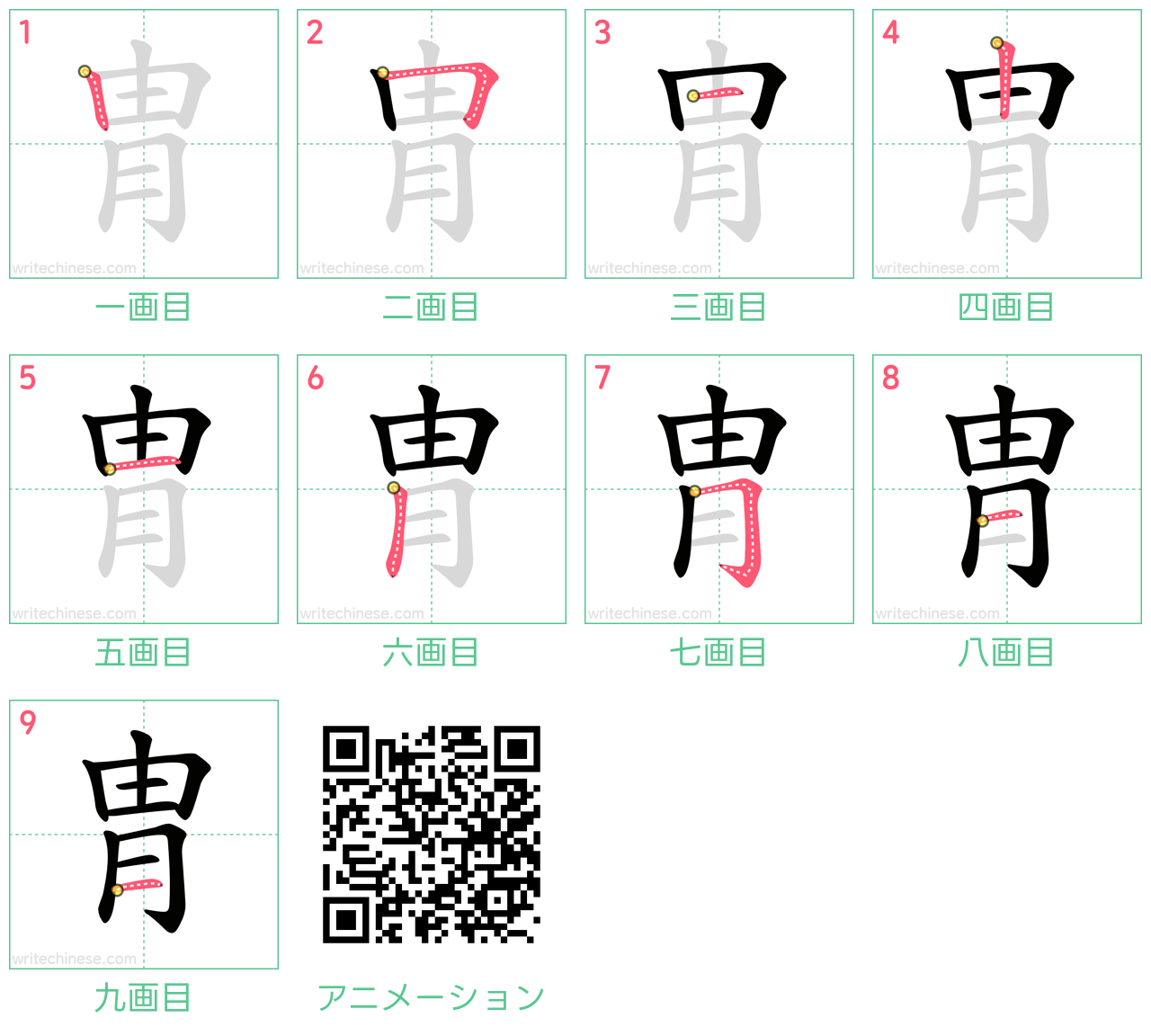 中国語の漢字「胄」の書き順 筆順