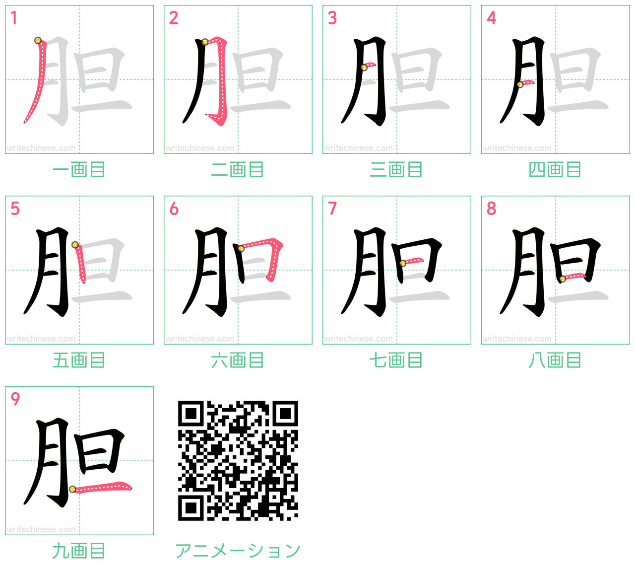 中国語の漢字「胆」の書き順 筆順
