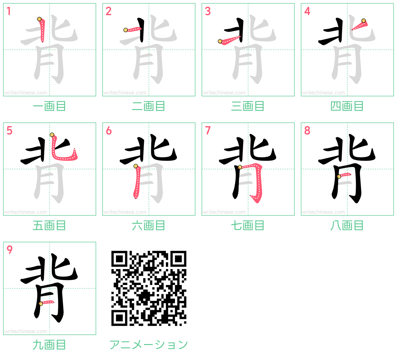 中国語の漢字「背」の書き順 筆順