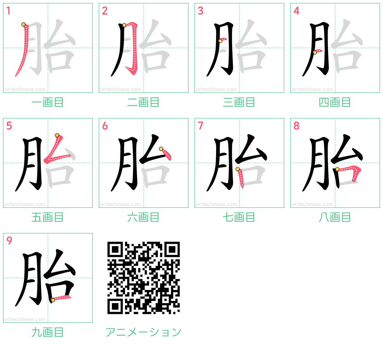 中国語の漢字「胎」の書き順 筆順