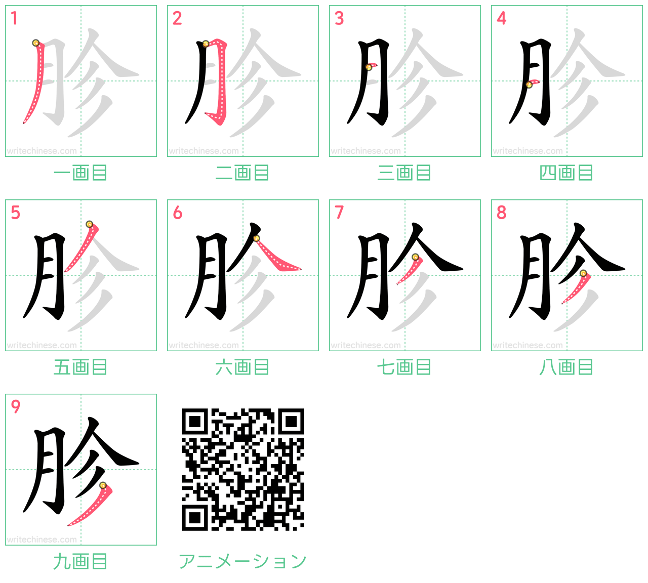 中国語の漢字「胗」の書き順 筆順