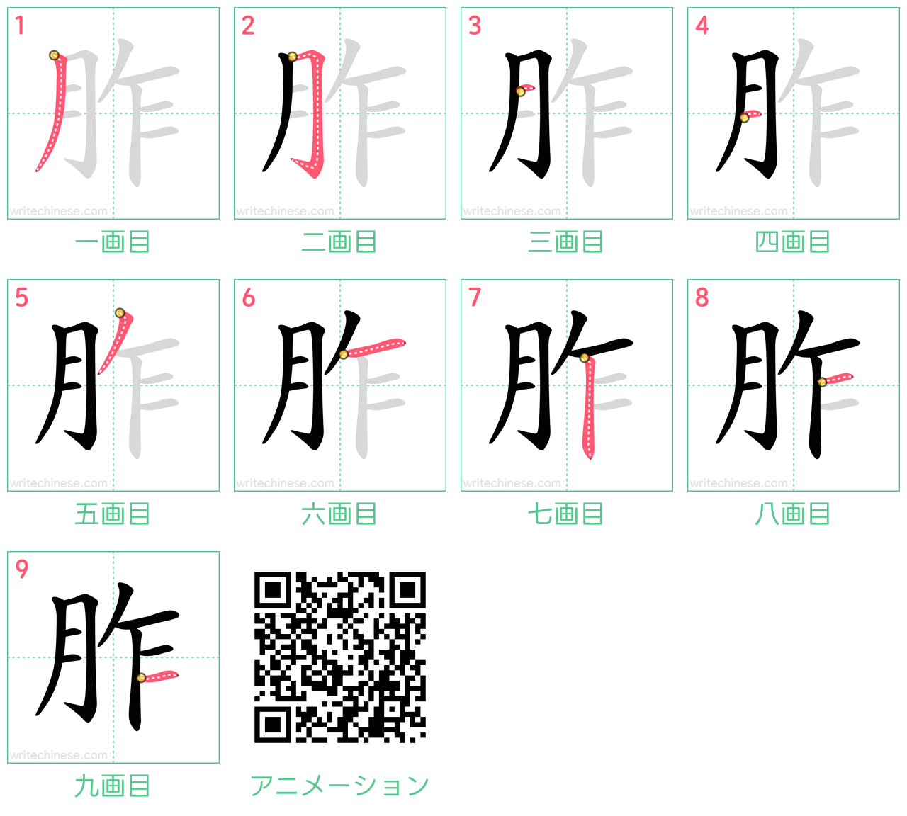 中国語の漢字「胙」の書き順 筆順