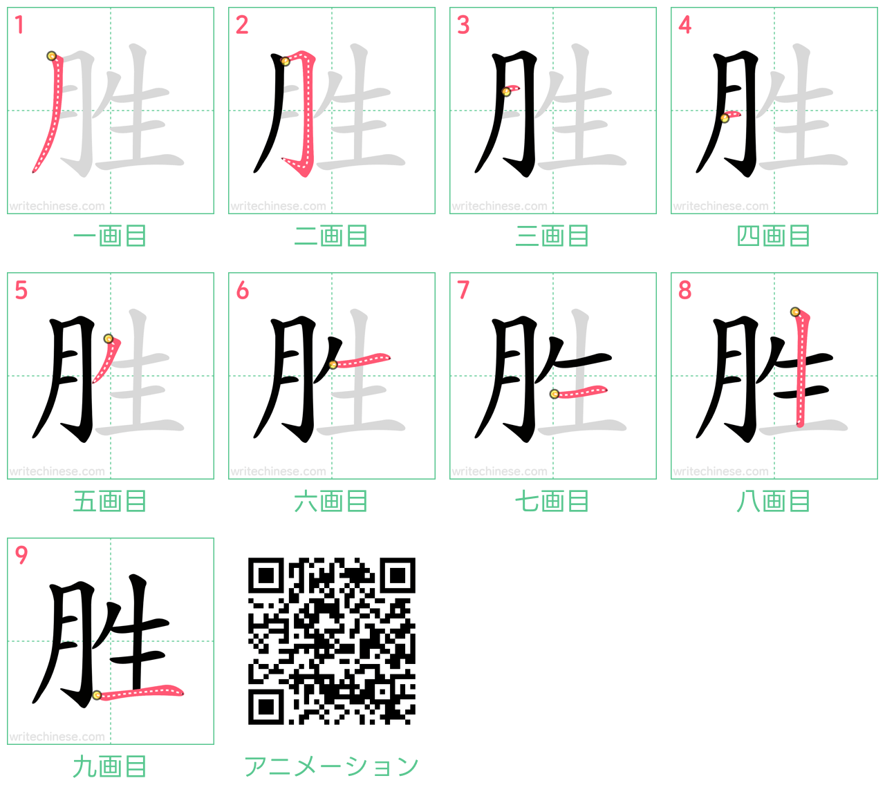 中国語の漢字「胜」の書き順 筆順