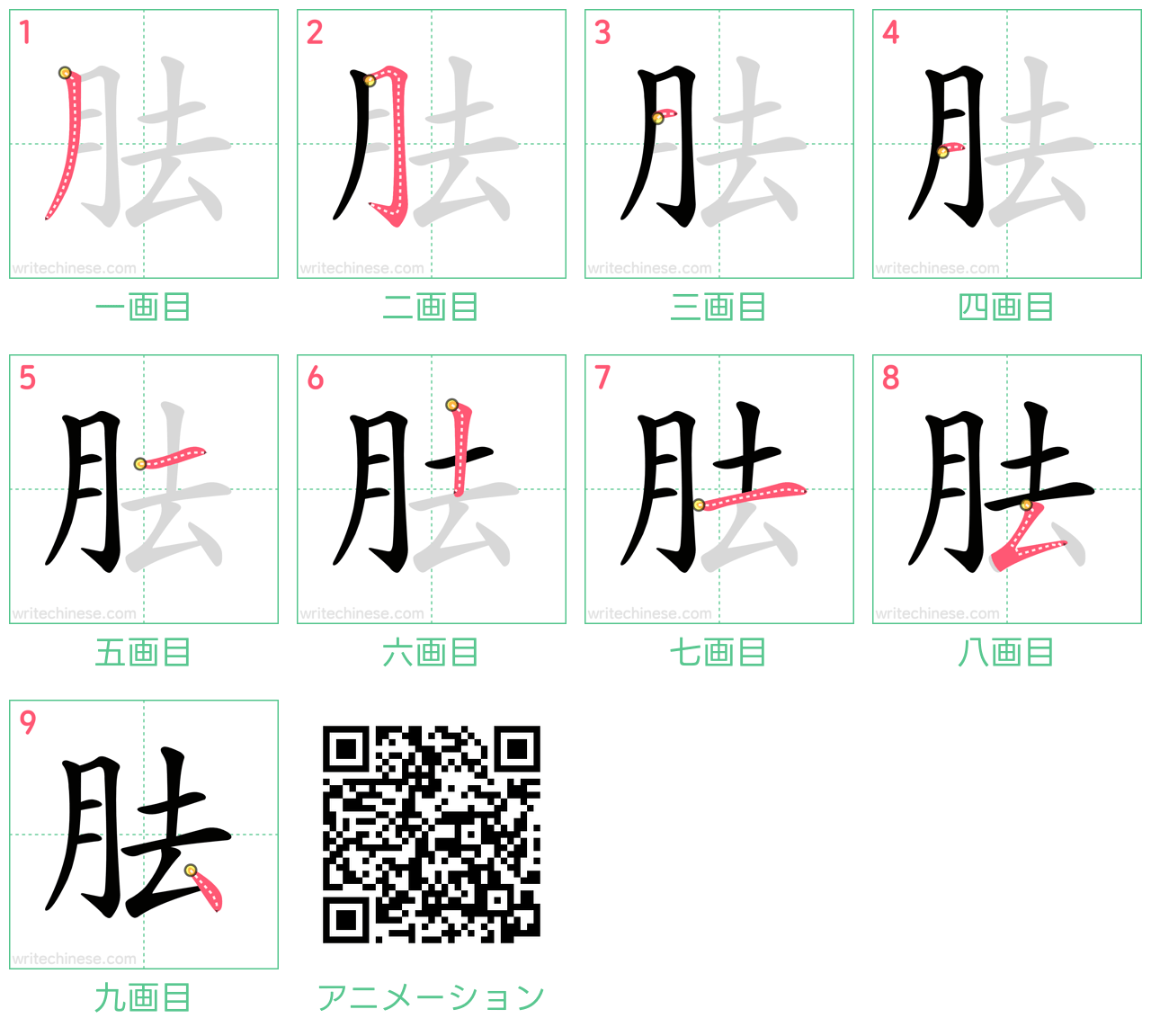 中国語の漢字「胠」の書き順 筆順