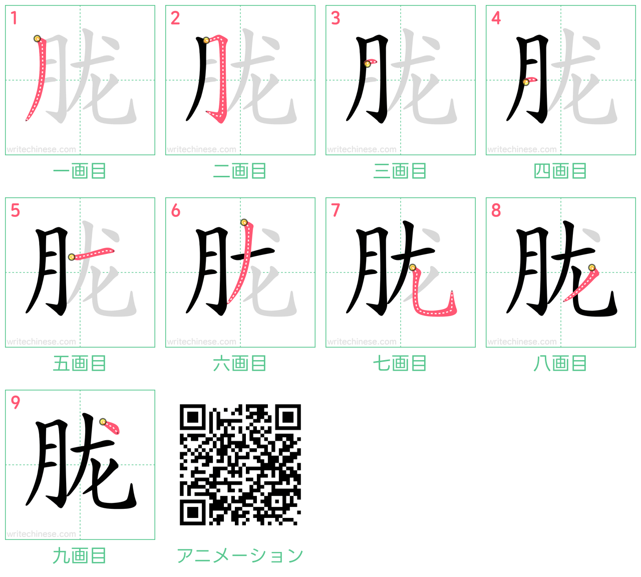 中国語の漢字「胧」の書き順 筆順