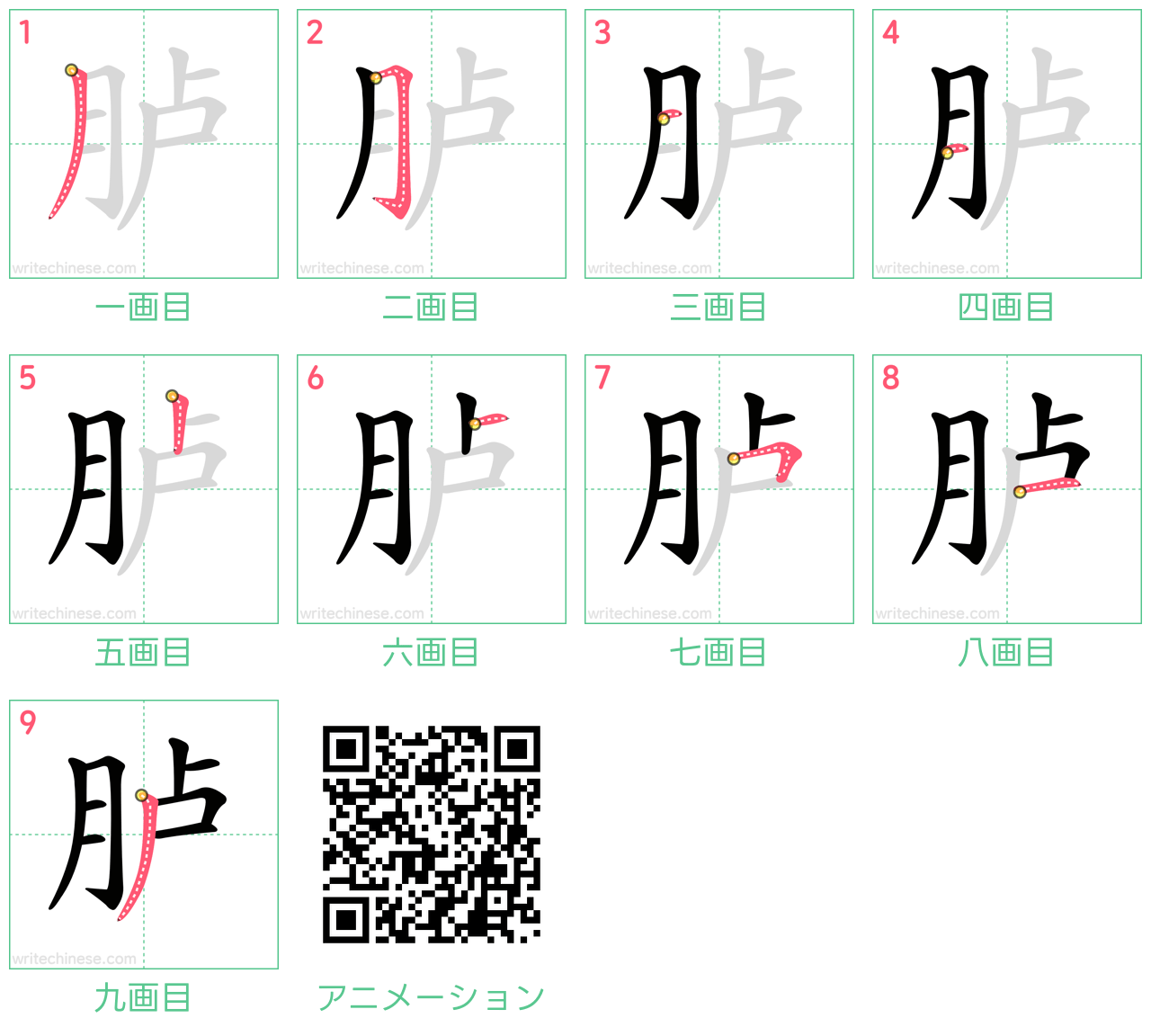 中国語の漢字「胪」の書き順 筆順