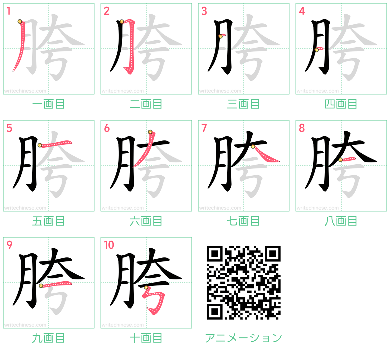 中国語の漢字「胯」の書き順 筆順