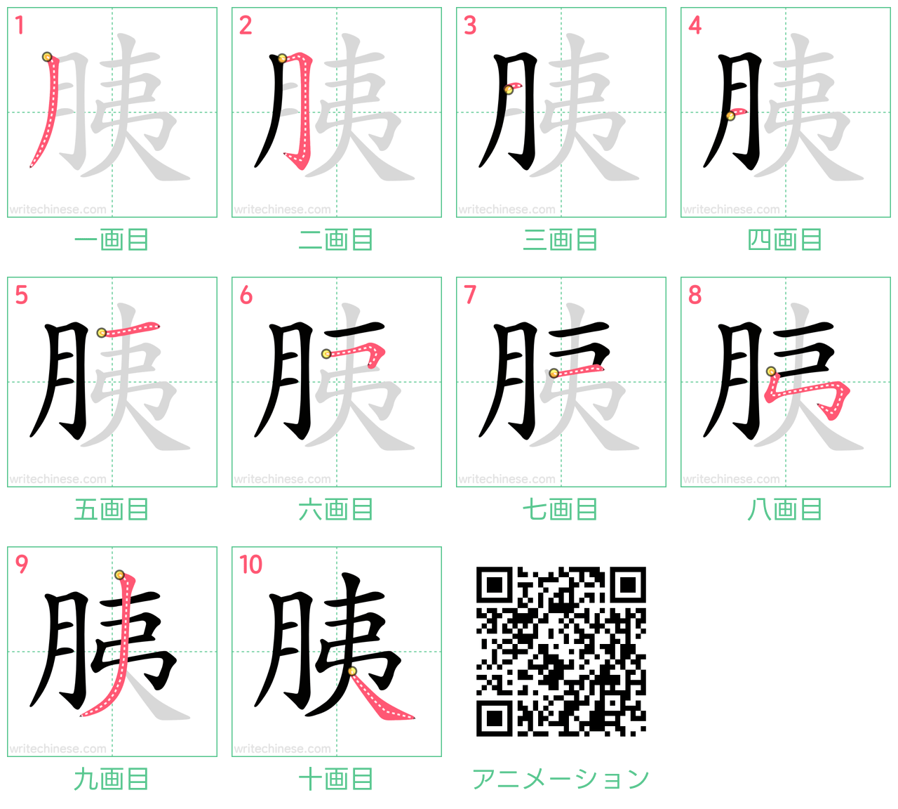 中国語の漢字「胰」の書き順 筆順