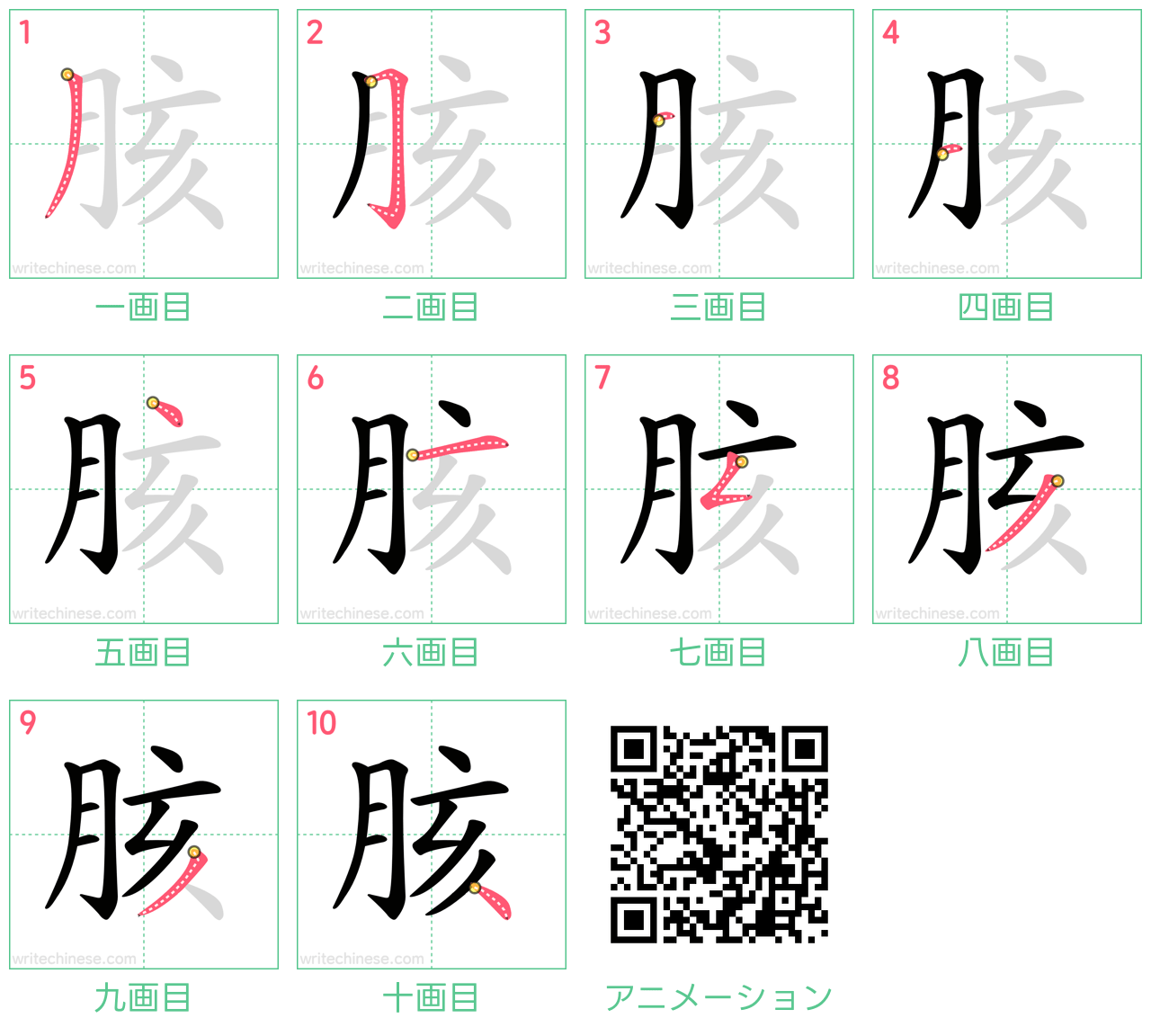 中国語の漢字「胲」の書き順 筆順