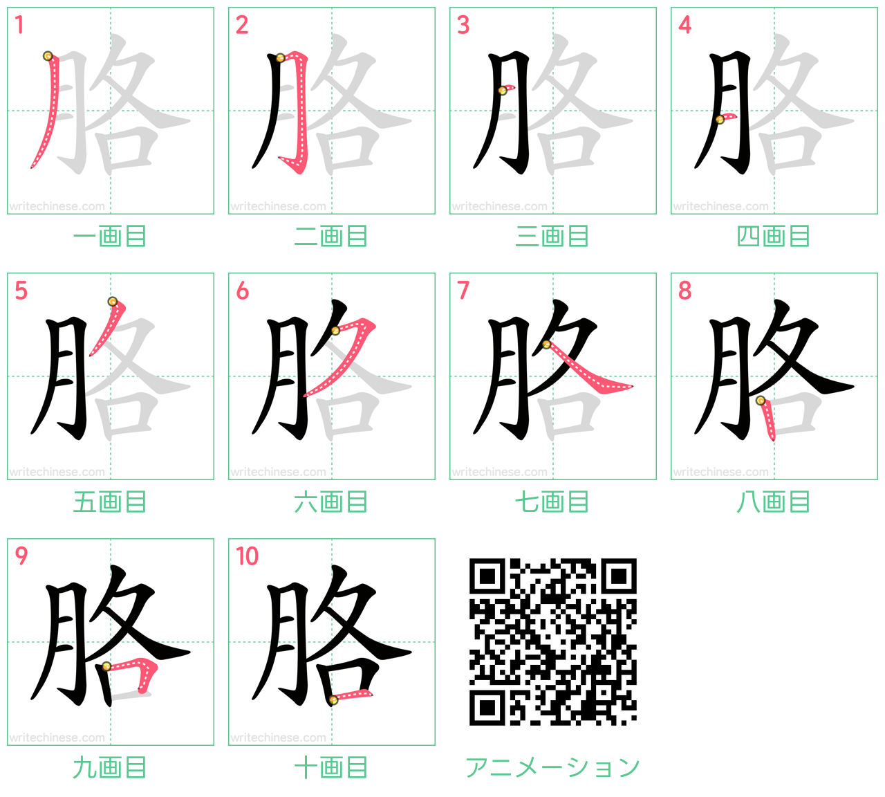 中国語の漢字「胳」の書き順 筆順