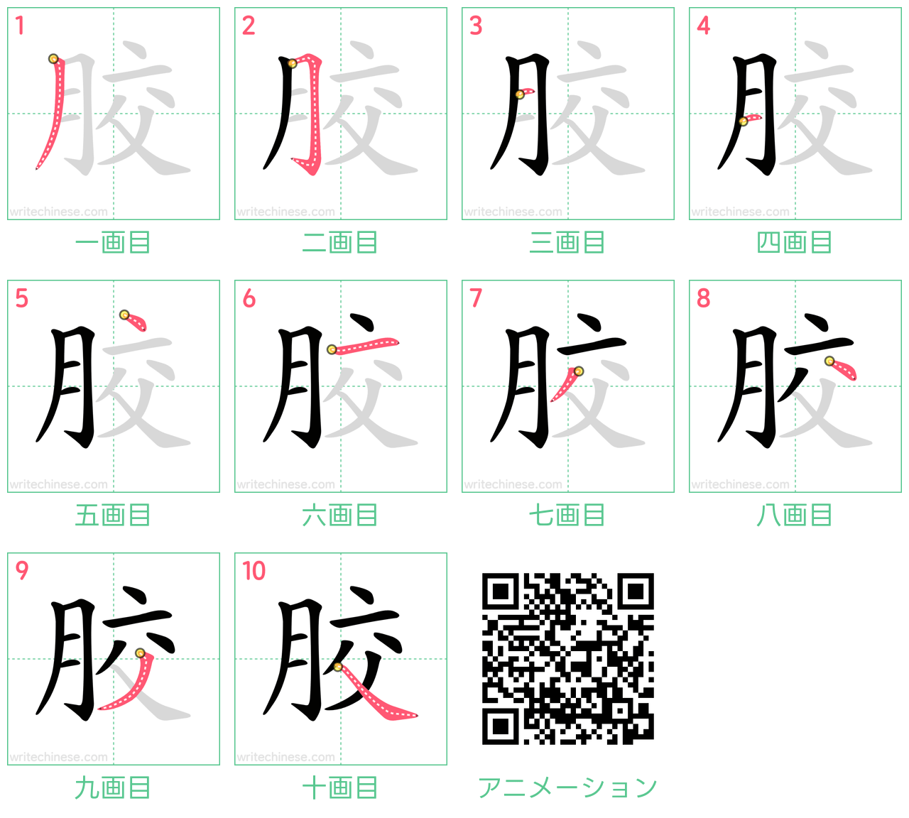 中国語の漢字「胶」の書き順 筆順