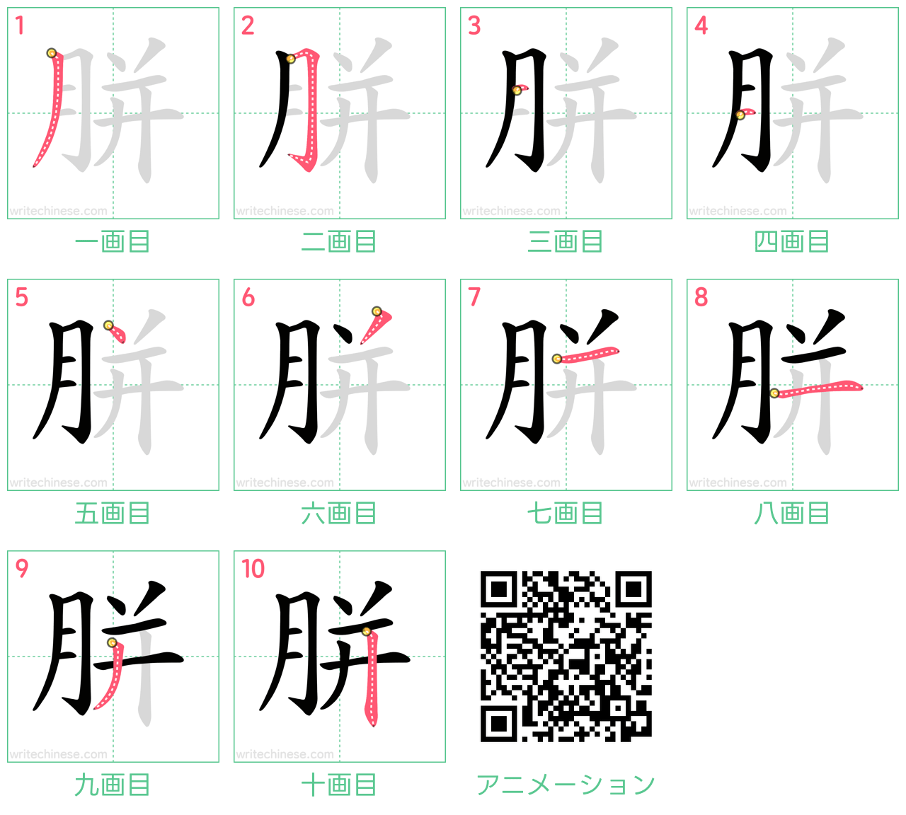 中国語の漢字「胼」の書き順 筆順